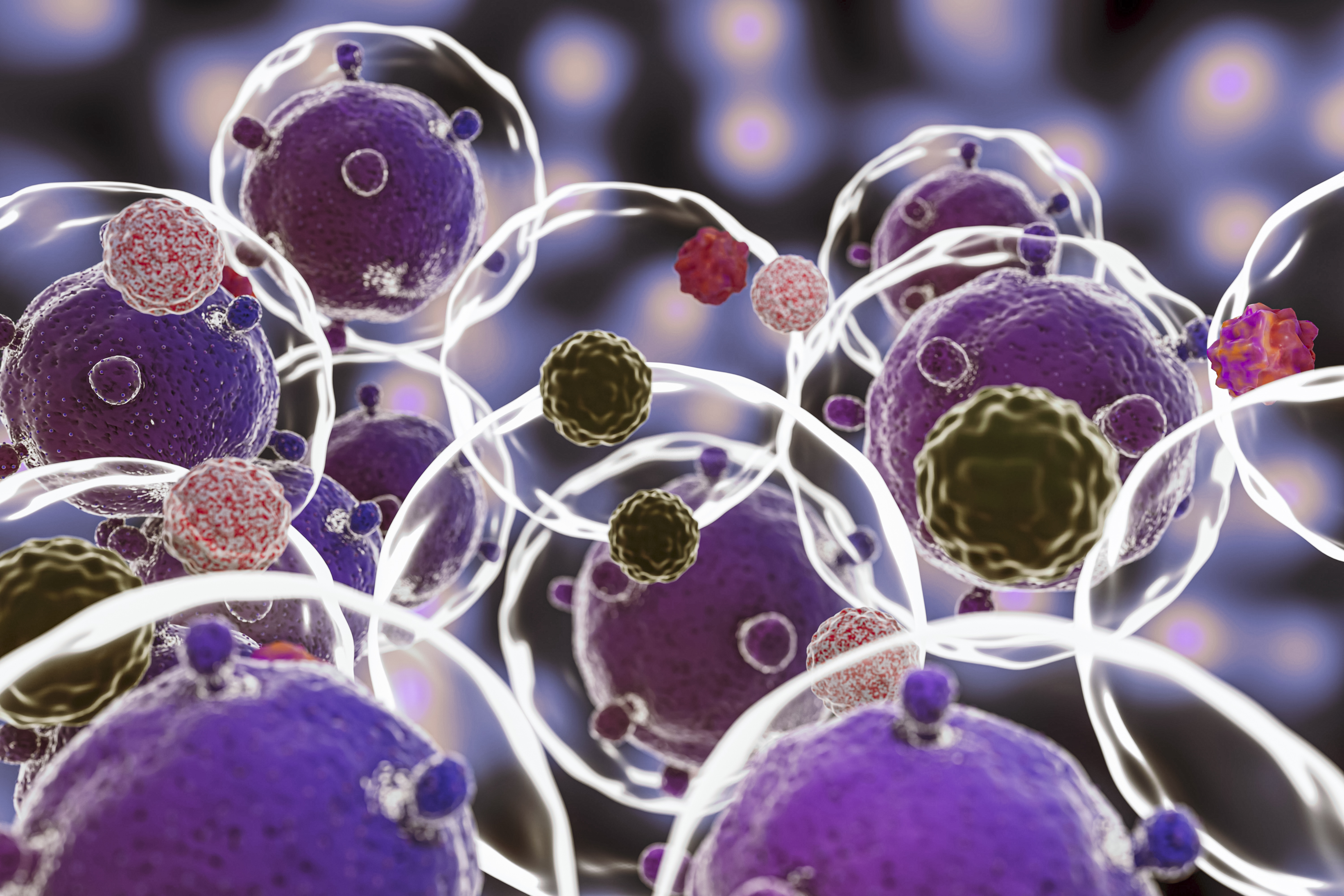 Concept of a microscopic view of microorganisms and white blood cells in the human body.