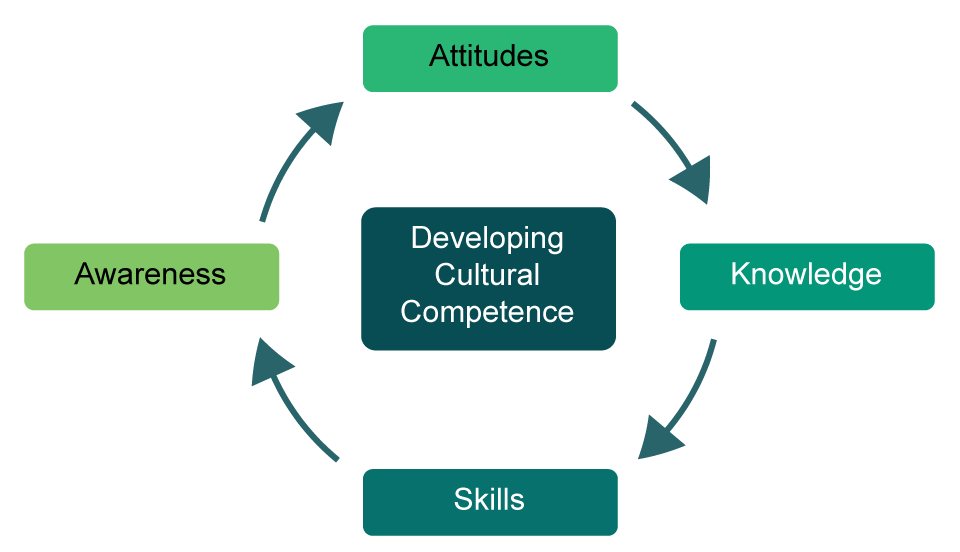 A circular diagram illustrating the process of developing cultural competence.