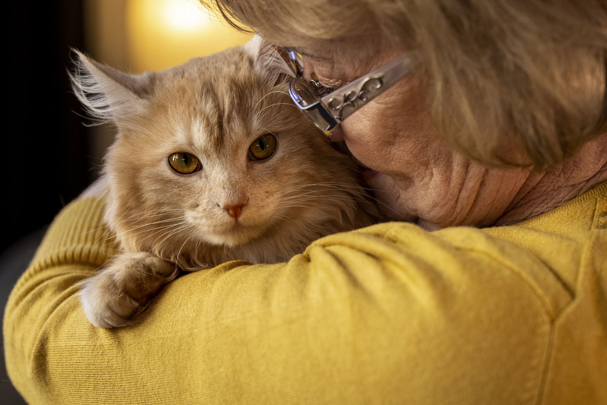 An elderly person holding a pet cat
