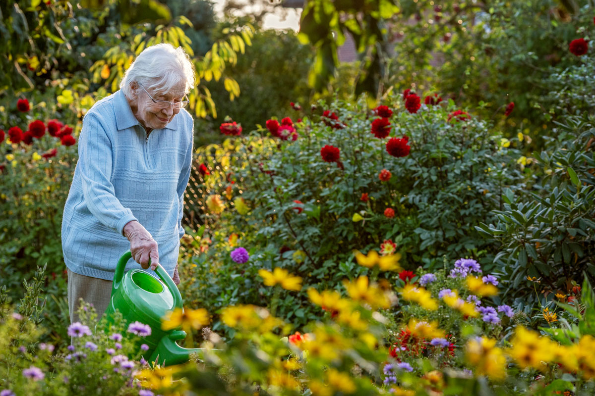 Elderly woman watering her garden